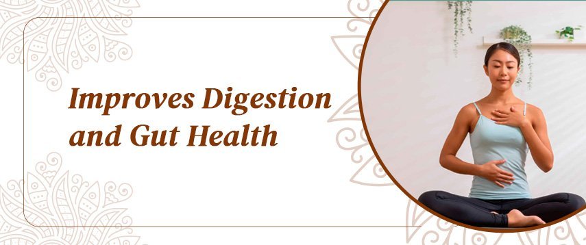 How meditation supports digestion and gut health
