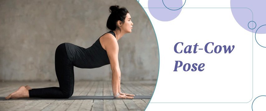 Cat-Cow yoga pose (Marjaryasana-Bitilasana)
