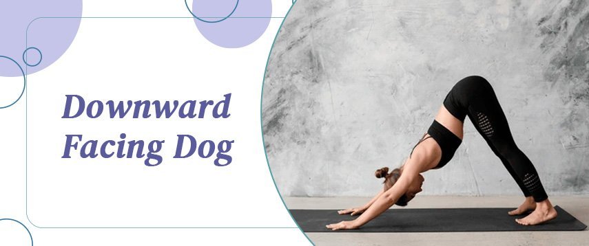Downward Facing Dog yoga pose (Adho Mukha Svanasana)